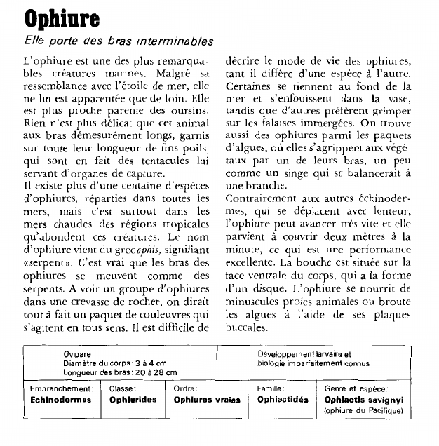 Prévisualisation du document Ophiure:Elle porte des bras interminables.