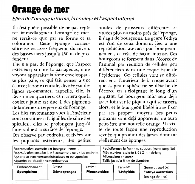 Prévisualisation du document Orange de mer:Elle a de l'orange la forme, la couleur etl'aspect interne.
