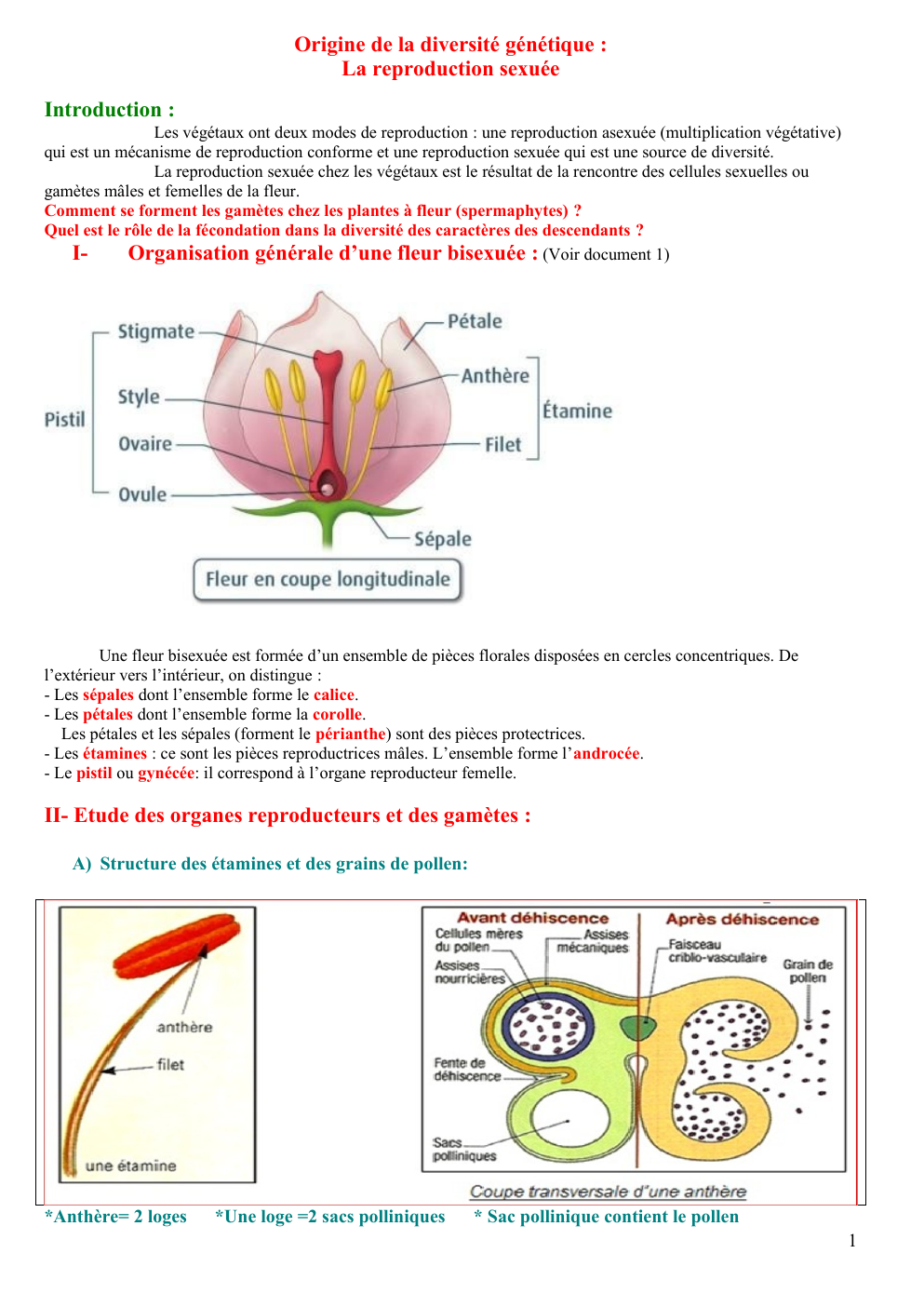 Prévisualisation du document origine de la diversite génétique