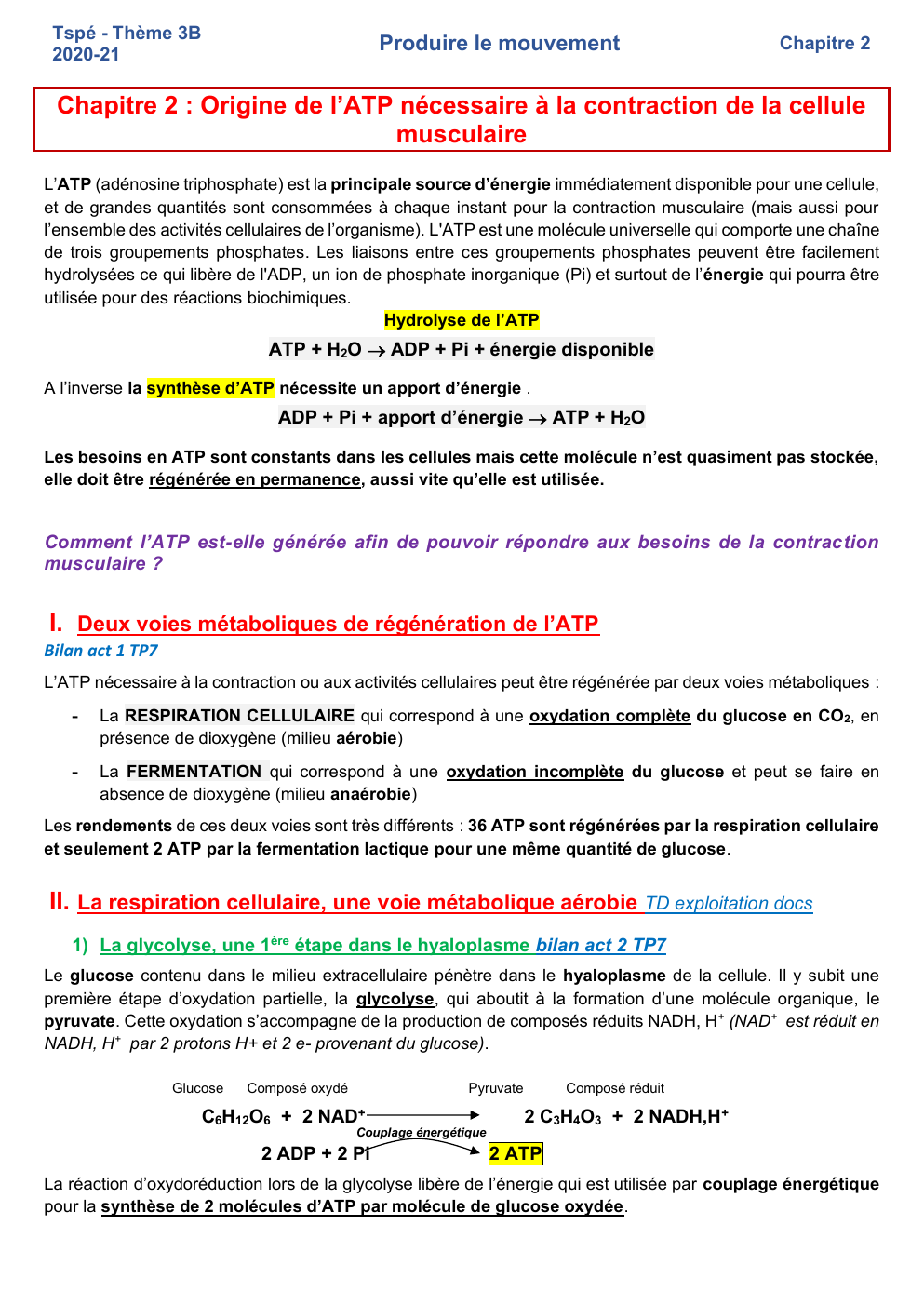 Prévisualisation du document Origine de l’ATP nécessaire à la contraction de la cellule  musculaire