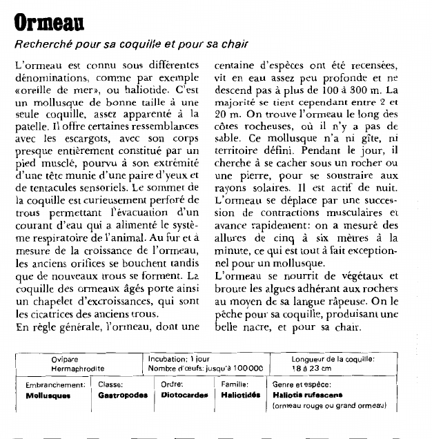 Prévisualisation du document Ormeau:Recherché pour sa coquille et pour sa chair.