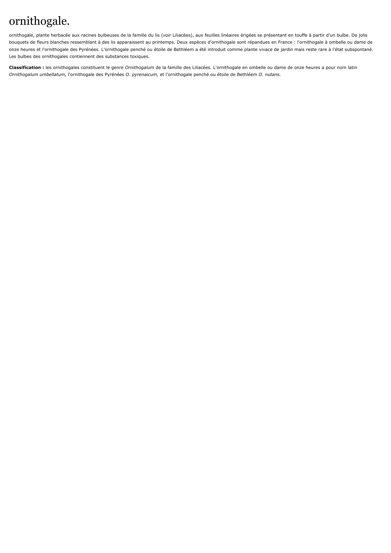 Prévisualisation du document ornithogale.