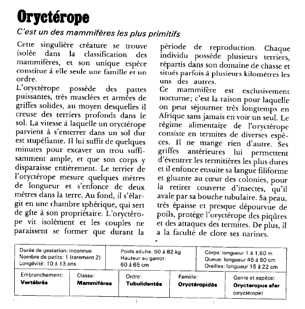 Prévisualisation du document Oryctérope:C'est un des mammifères les plus primitifs.