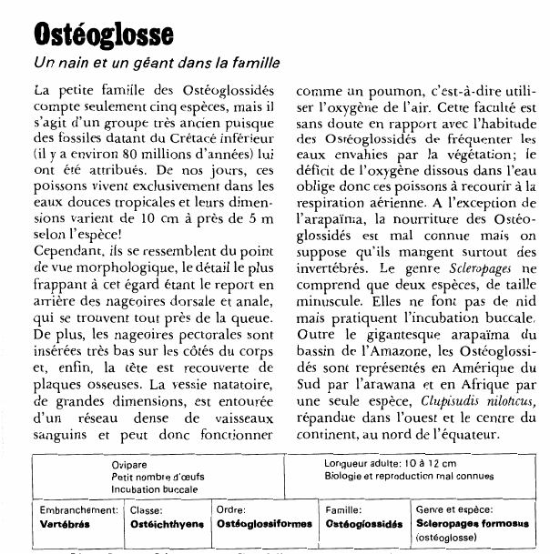 Prévisualisation du document Ostéoglosse:Un nain et un géant dans la famille.