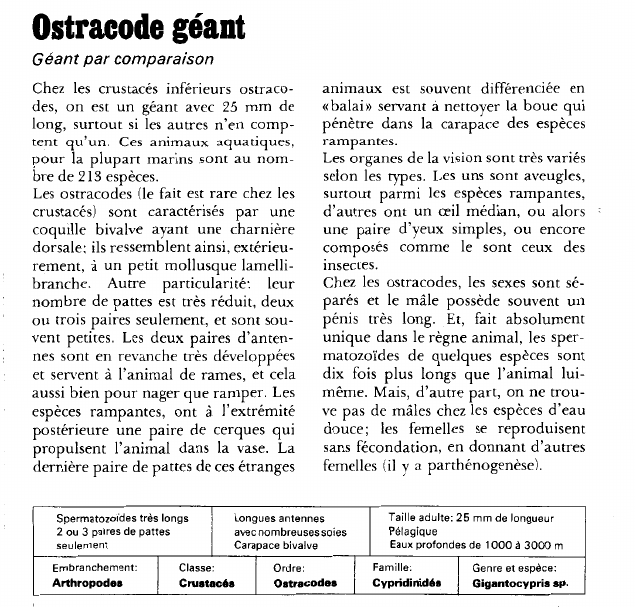 Prévisualisation du document Ostracode géant:Géant par comparaison.