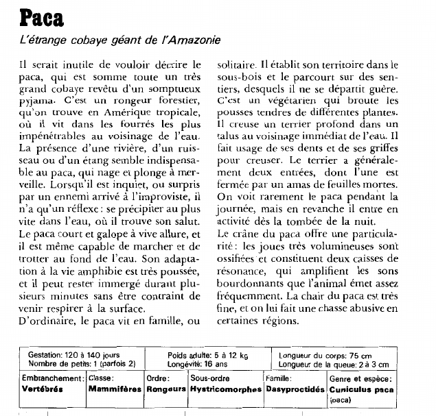 Prévisualisation du document Paca:L'étrange cobaye géant de l'Amazonie.