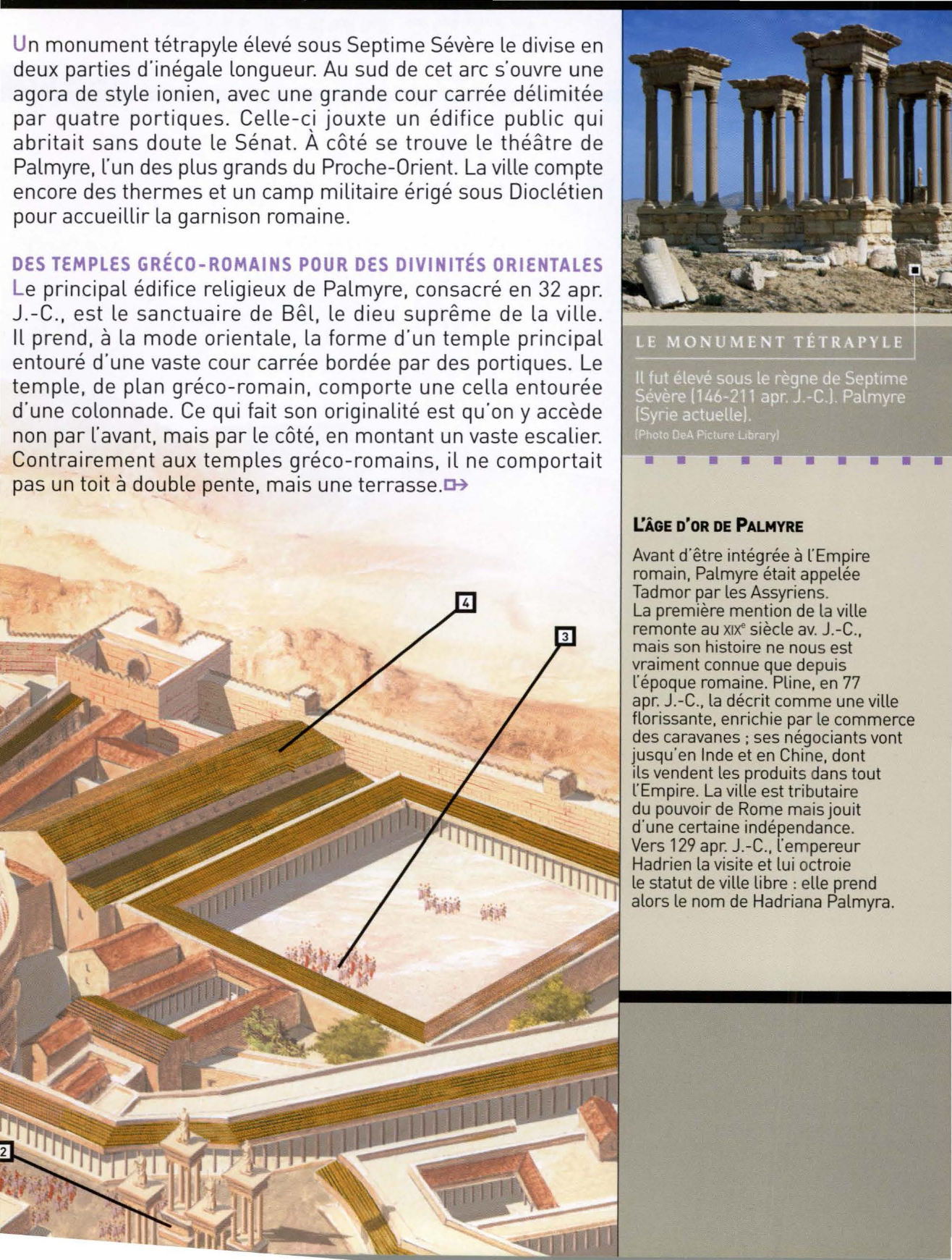 Prévisualisation du document PALMYRE : Une oasis sur la route des caravanes