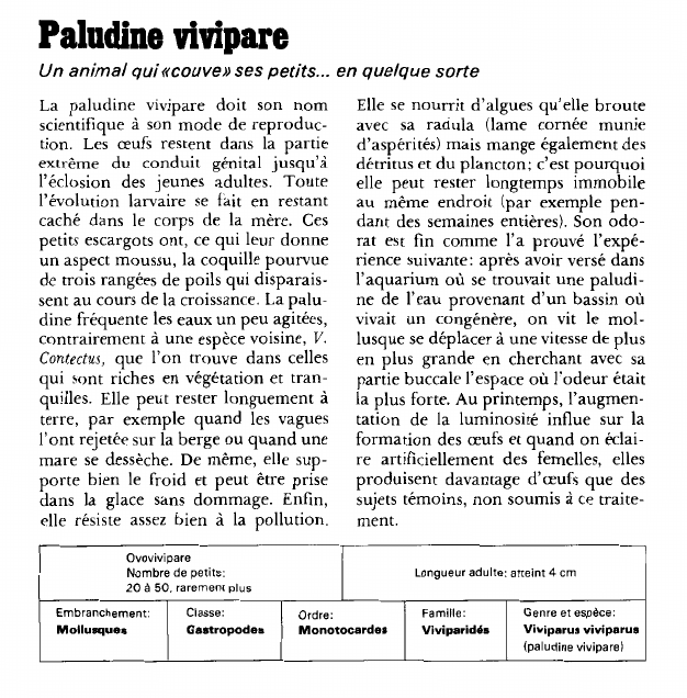 Prévisualisation du document Paludine vivipare:Un animal qui «couve» ses petits.