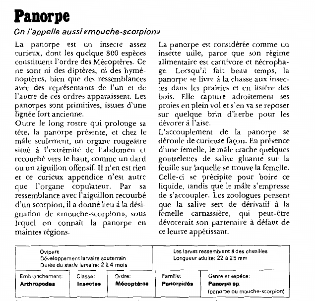 Prévisualisation du document Panorpe:On l'appelle aussi «mouche-scorpion».