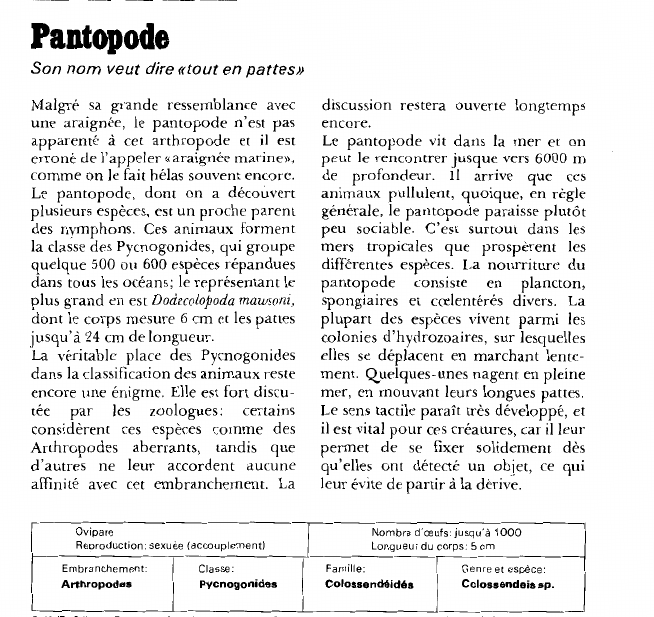 Prévisualisation du document Pantopode:Son nom veut dire «tout en pattes».