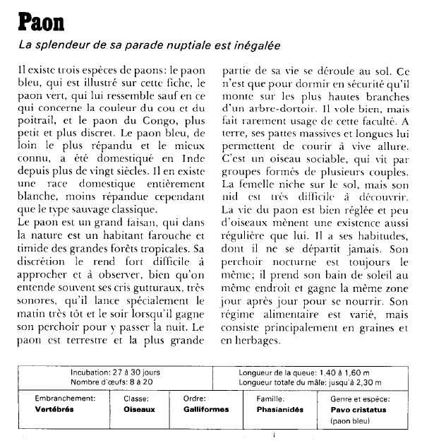 Prévisualisation du document Paon:La splendeur de.