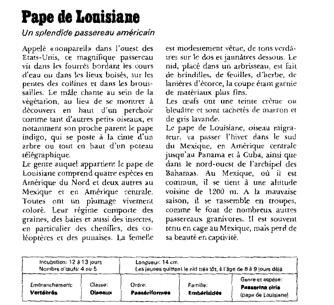 Prévisualisation du document Pape de LouisianeUn splendide passereau américain.