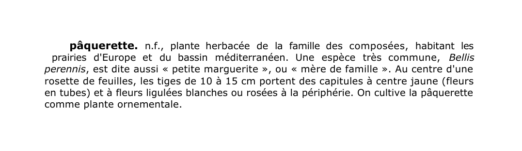 Prévisualisation du document pâquerette.