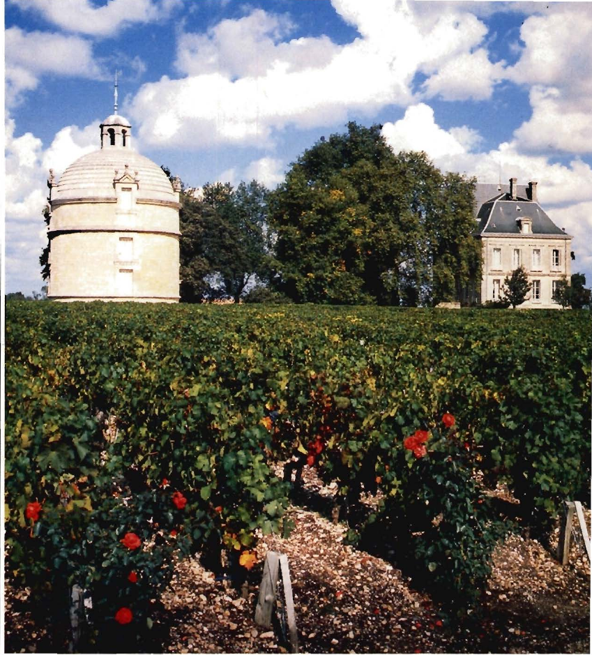 Prévisualisation du document Pauillac, le vignoble de Château-Latour.