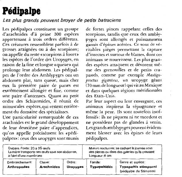 Prévisualisation du document Pédipalpe.