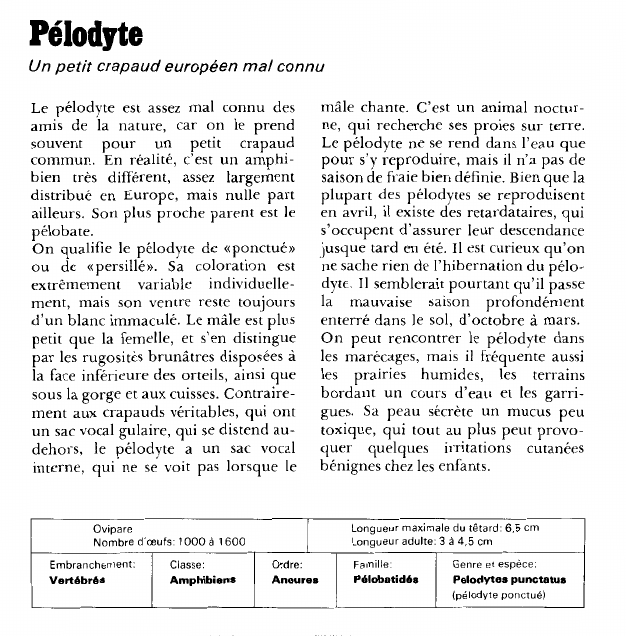 Prévisualisation du document Pélodyte:Un petit crapaud européen mal connu.