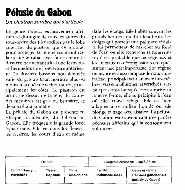 Prévisualisation du document Pélusie du Gabon:Un plastron sombre qui s'articule.