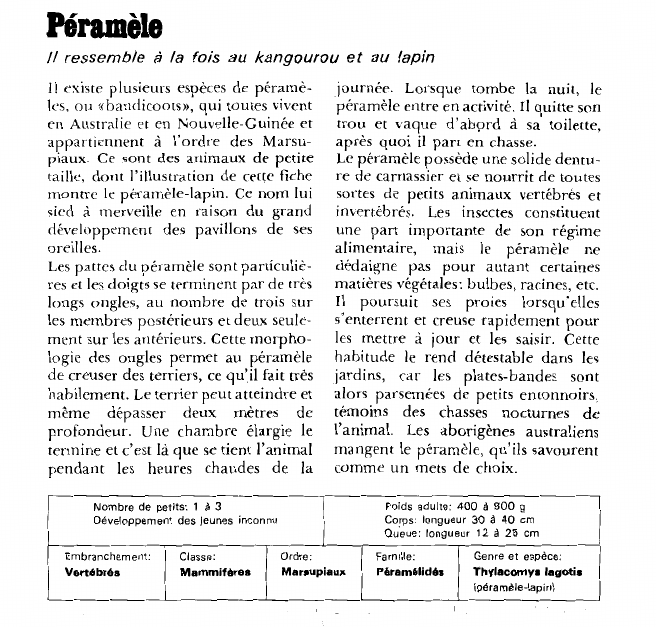 Prévisualisation du document Péramèle:Il ressemble à la fois au kangourou et au lapin.