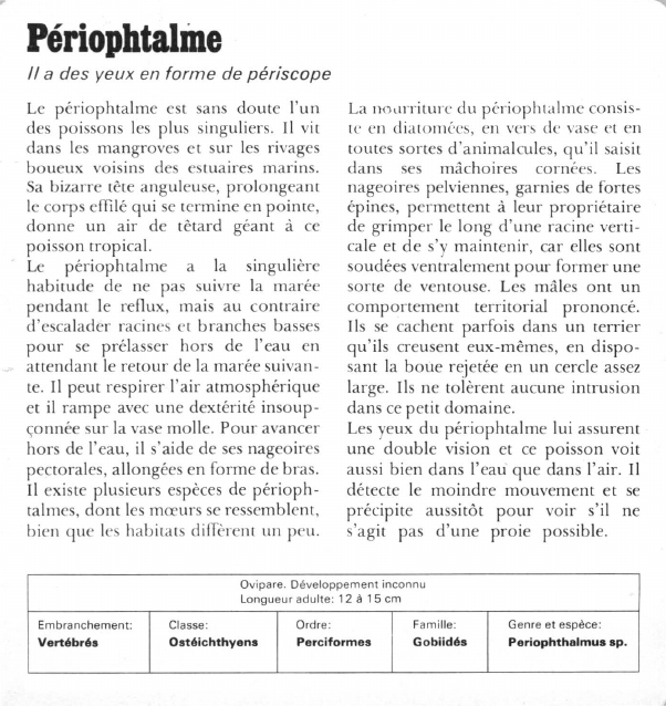 Prévisualisation du document PériophtalMe:lia des yeux en forme de périscope.