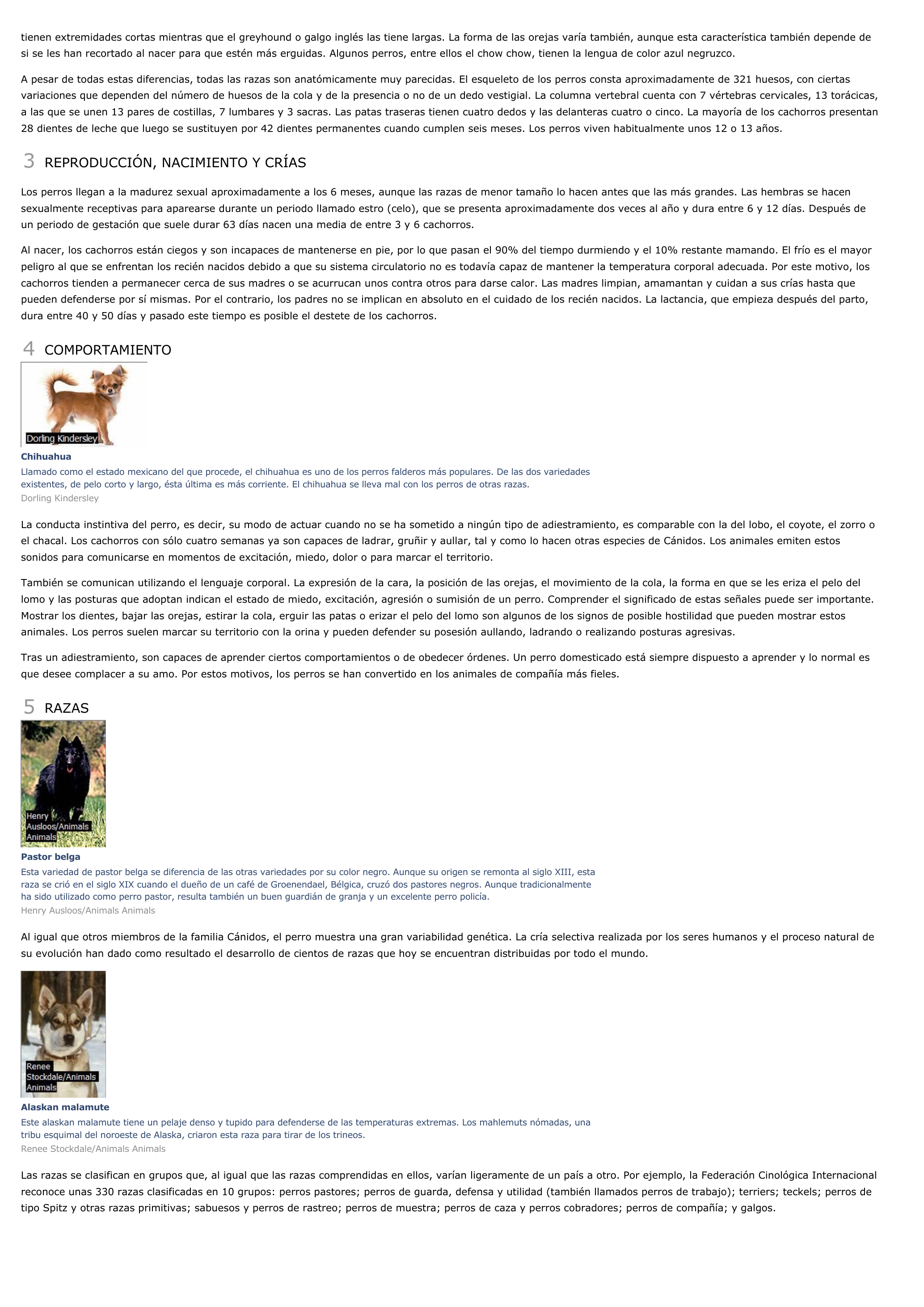 Prévisualisation du document Perro - ciencias de la naturaleza.
