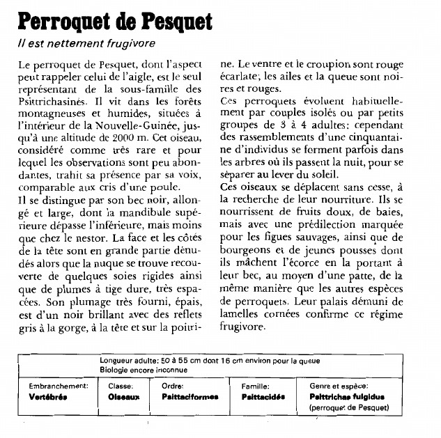 Prévisualisation du document Perroquet de Pesquet:Il est nettement frugivore.