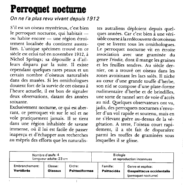 Prévisualisation du document Perroquet nocturne:On ne l'a plus revu vivant depuis 1912 (faune).