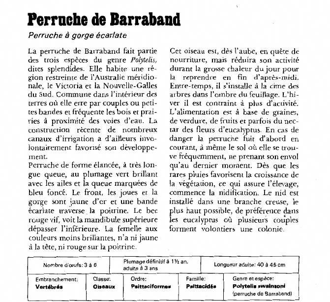 Prévisualisation du document Perruche de BarrabandPerruche à gorge écarlate.