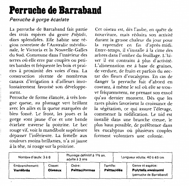 Prévisualisation du document Perruche de BarrabandPerruche à gorge écarlate.