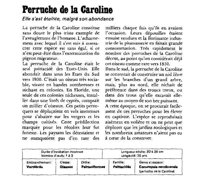 Prévisualisation du document Perruche de la Caroline:Elle s'est éteinte, malgré son abondance.