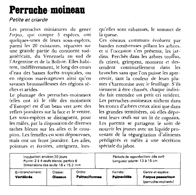 Prévisualisation du document Perruche-moineau:Petite et criarde.