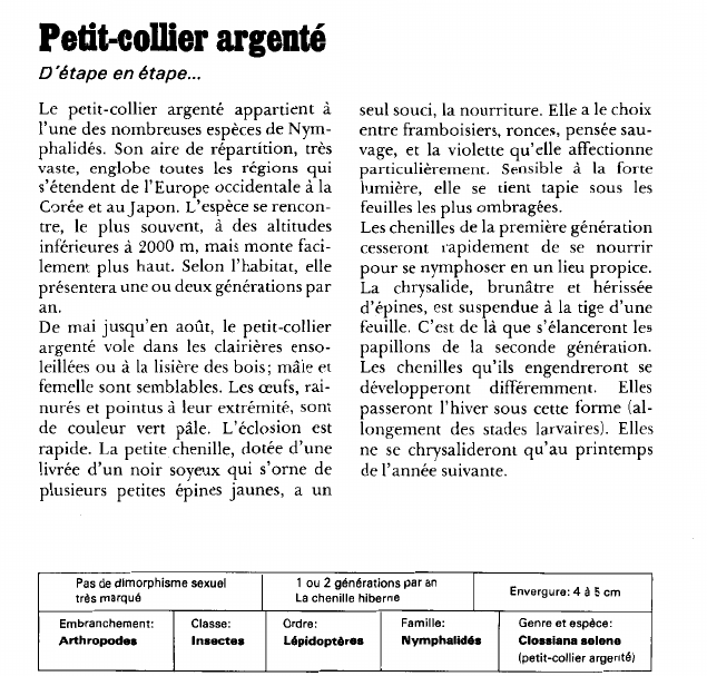 Prévisualisation du document Petit-collier argenté:D'étape en étape.