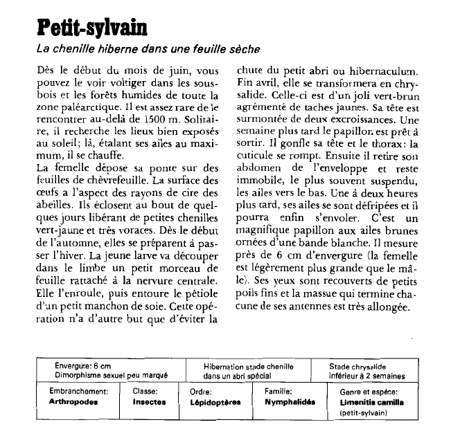 Prévisualisation du document Petit-sylvain:La chenille hiberne dans une feuille sèche.