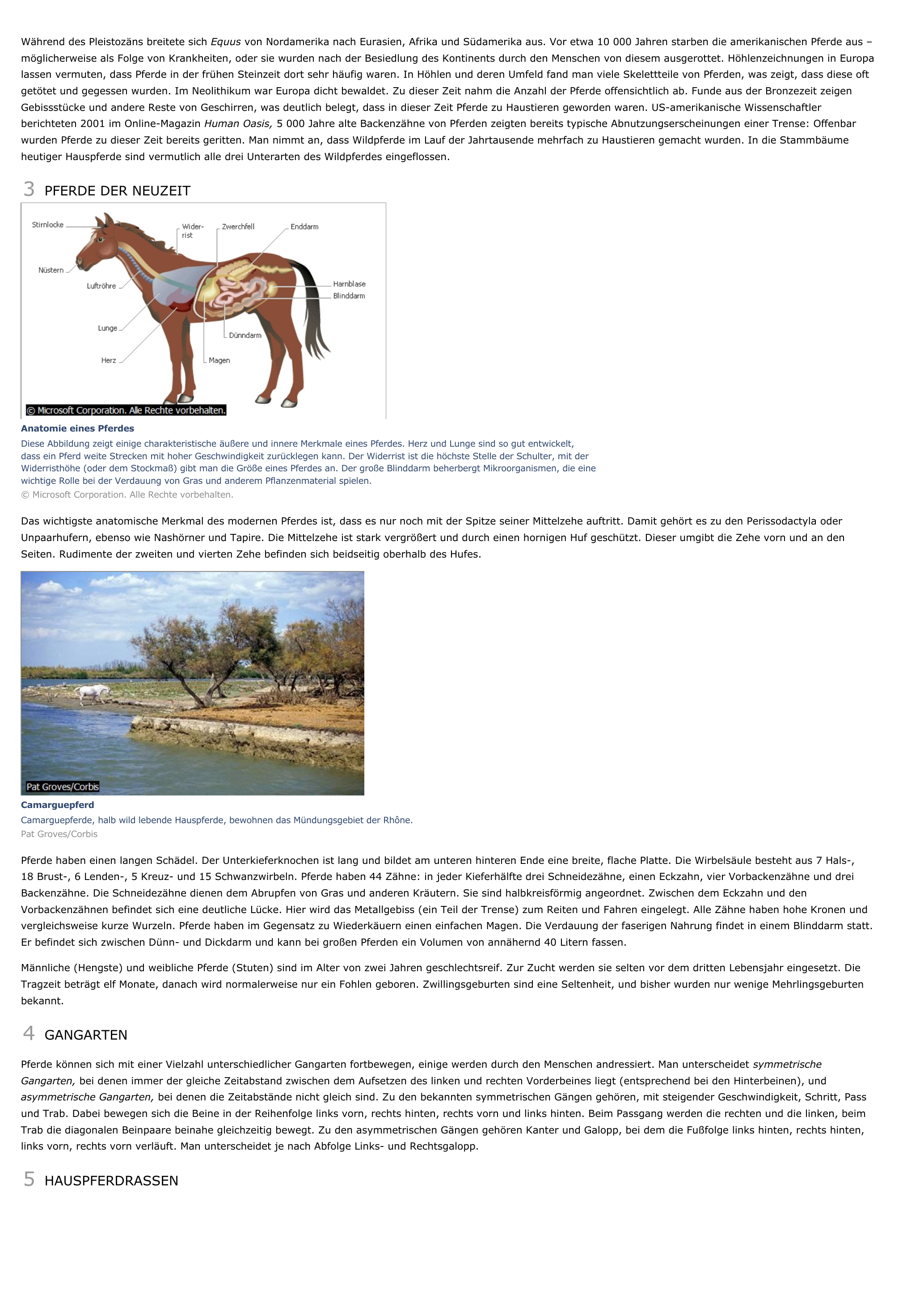 Prévisualisation du document Pferde - biologie.
