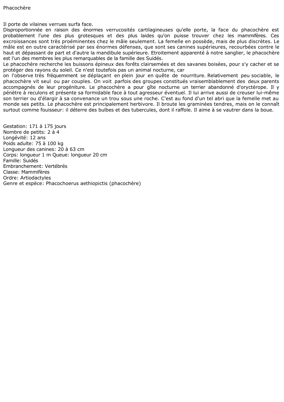 Prévisualisation du document Phacochère