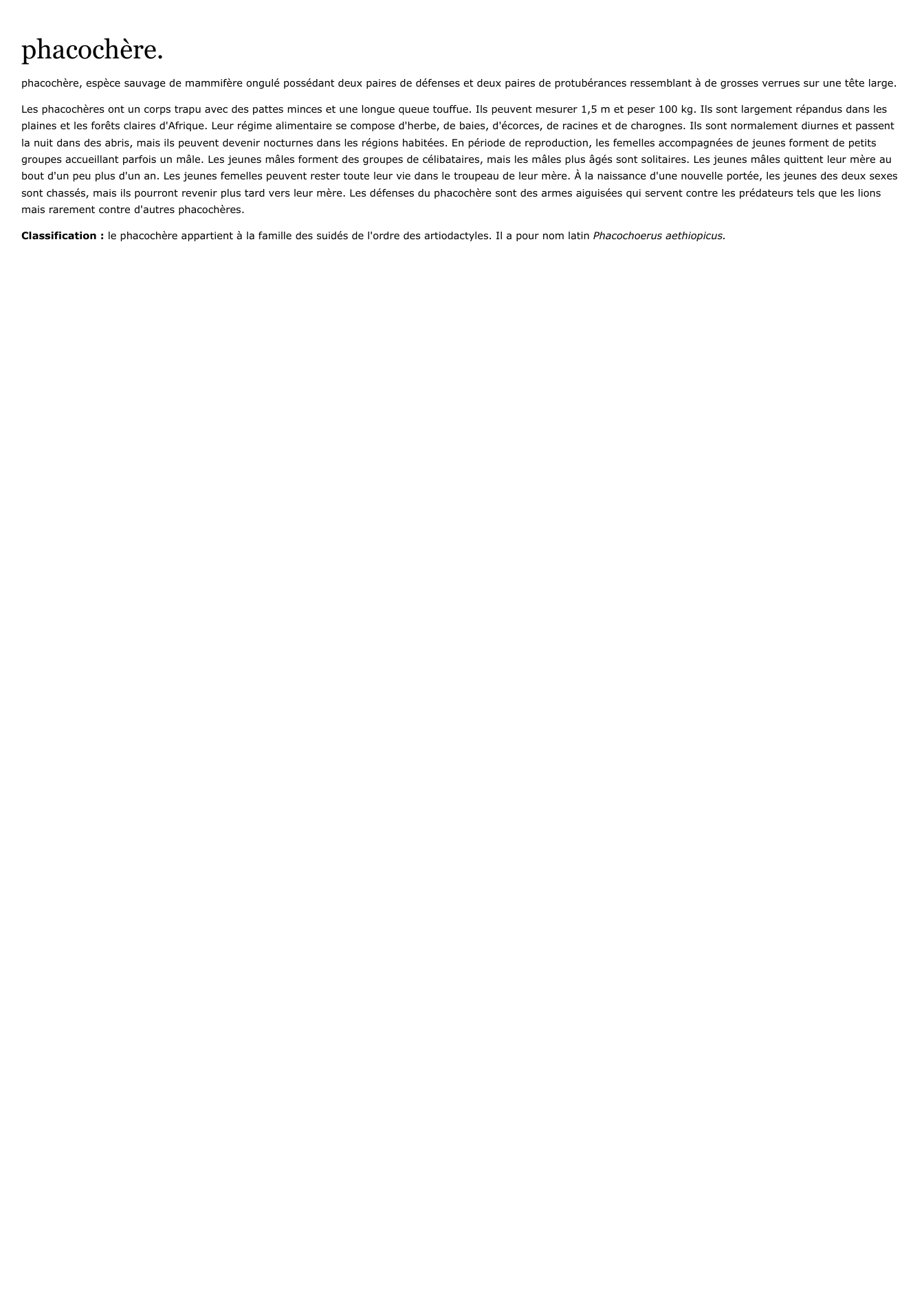 Prévisualisation du document phacochère.