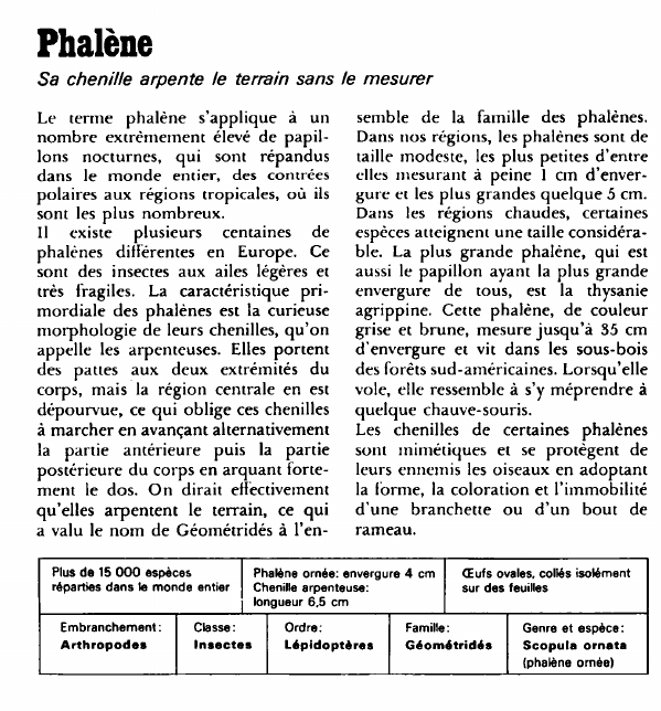 Prévisualisation du document Phalène:Sa chenille arpente le terrain sans le mesurer.