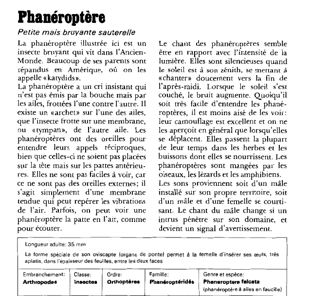 Prévisualisation du document Phanéroptère:Petite mais bruyante sauterelle.