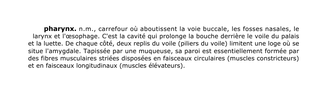 Prévisualisation du document pharynx.