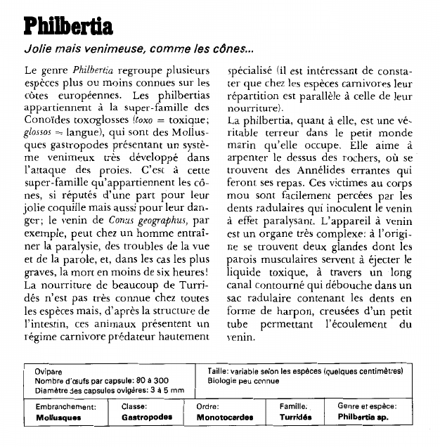 Prévisualisation du document Philbertia:Jolie mais venimeuse, comme les cônes.