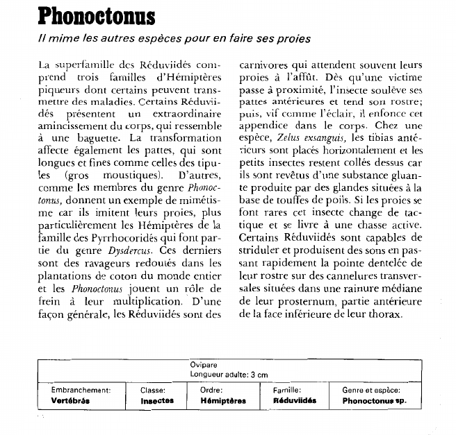 Prévisualisation du document Phonoctonus:Il mime les autres espèces pour en faire ses proies.