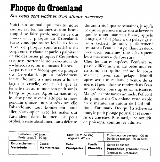 Prévisualisation du document Phoque du Groenland:Ses petits sont victimes d'un affreux massacre.