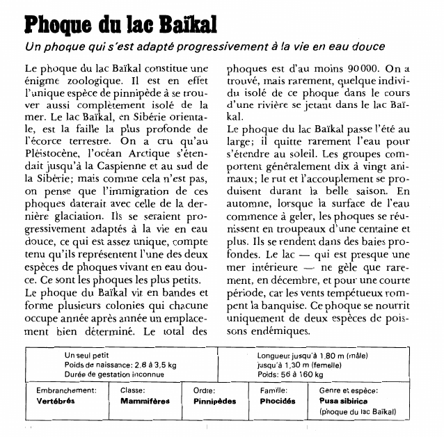 Prévisualisation du document Phoque du lac Baïkal:Un phoque qui s'est adapté progressivement à la vie en eau douce.