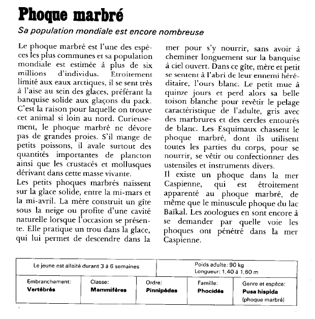 Prévisualisation du document Phoque marbré:Sa population mondiale est encore nombreuse.