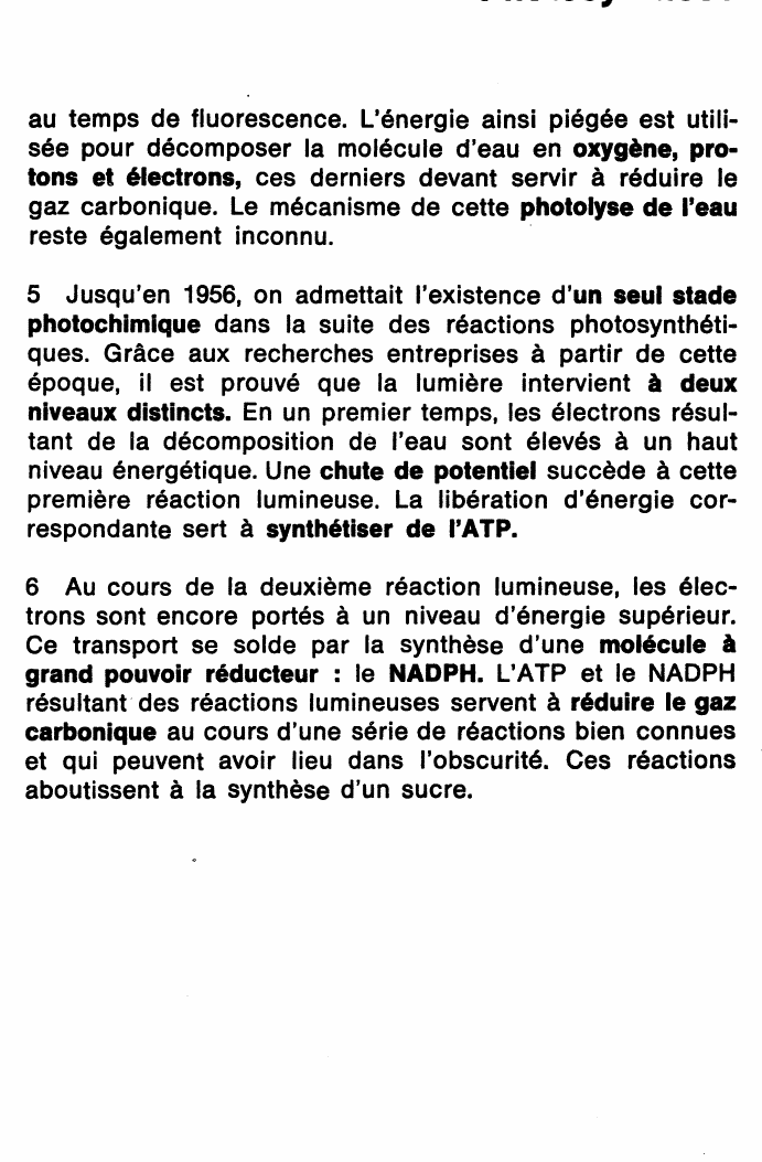 Prévisualisation du document Photosynthèse