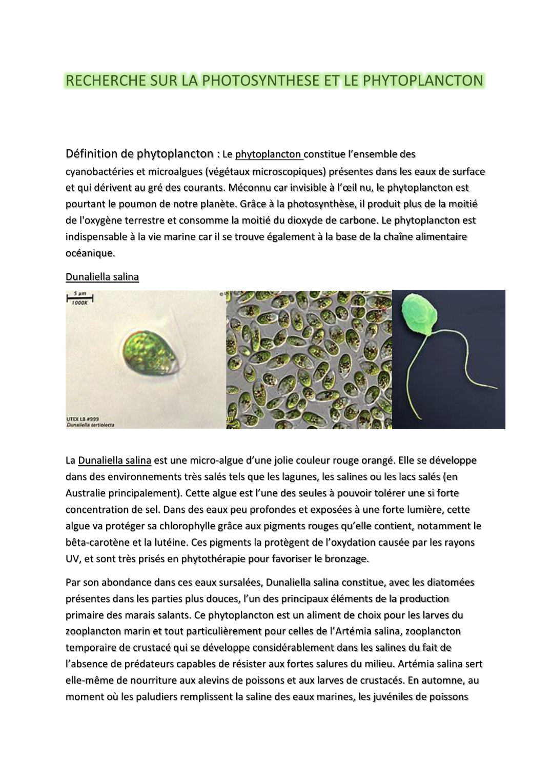 Prévisualisation du document photosynthèse et le phytoplancton