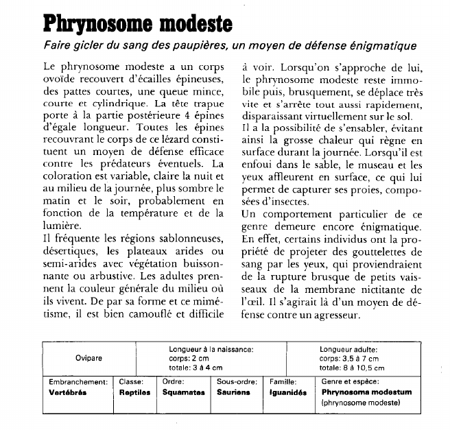 Prévisualisation du document Phrynosome modeste:Faire gicler du sang des paupières, un moyen de défense énigmatique.