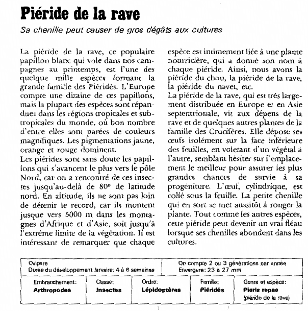 Prévisualisation du document Piéride de la rave:Sa chenille peut causer de gros dégâts aux cultures.