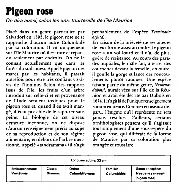 Prévisualisation du document Pigeon rose:On dira aussi, selon les uns, tourterelle de l'île Maurice.