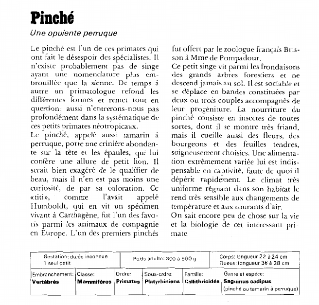 Prévisualisation du document Pinché:Une opulente perruque.