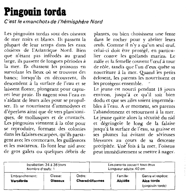 Prévisualisation du document Pingouin torda.